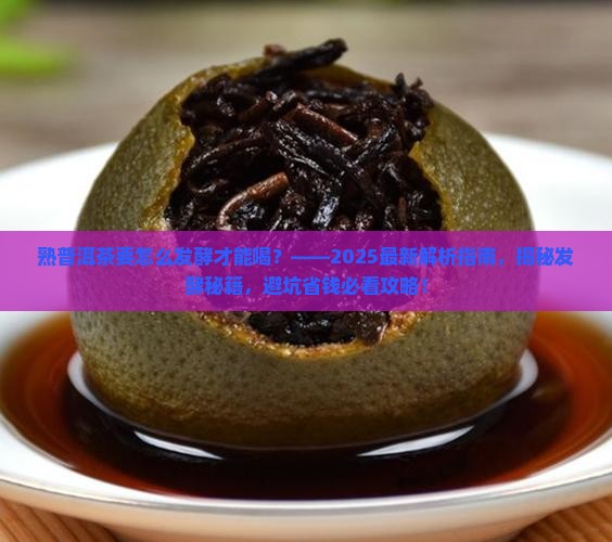 熟普洱茶要怎么发酵才能喝