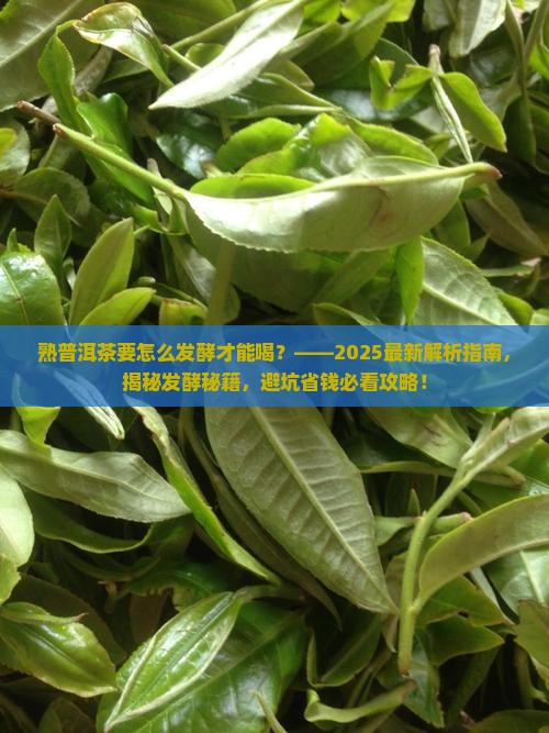 熟普洱茶要怎么发酵才能喝