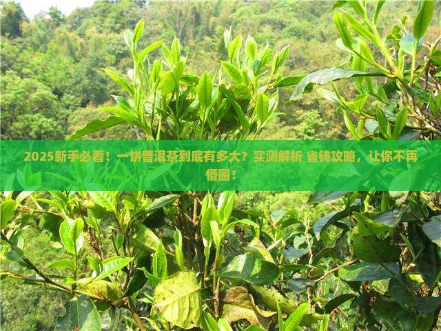 一饼普洱茶的尺寸