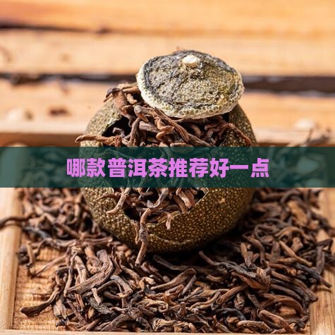 哪款普洱茶推荐好一点