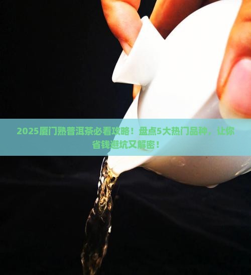 厦门熟普洱茶有哪些