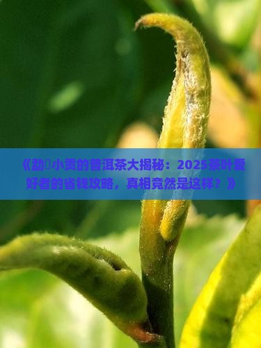 勐曌小贡的普洱茶