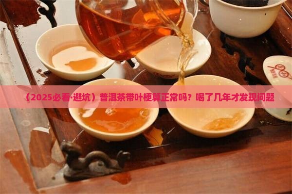普洱茶带叶梗好吗