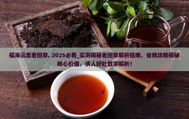 福海云龙老班章