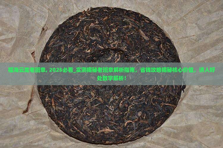 福海云龙老班章