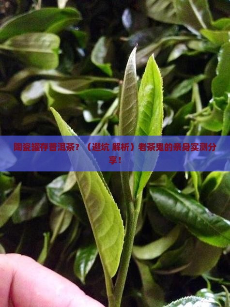 陶瓷罐存放普洱茶合适吗 陶瓷罐存放普洱茶合适吗