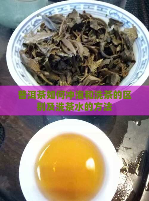 普洱茶如何冲泡和洗茶