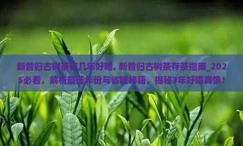 新昔归古树茶存几年好喝