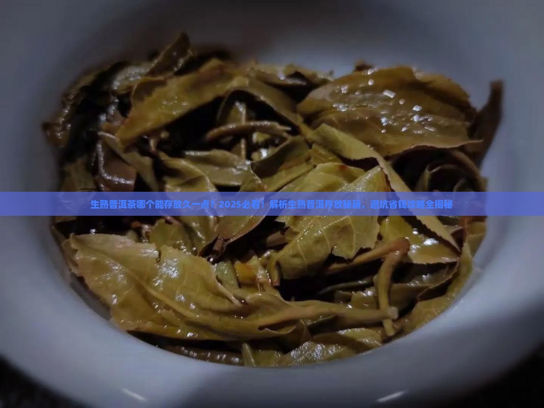 生熟普洱茶哪个能存放久一点