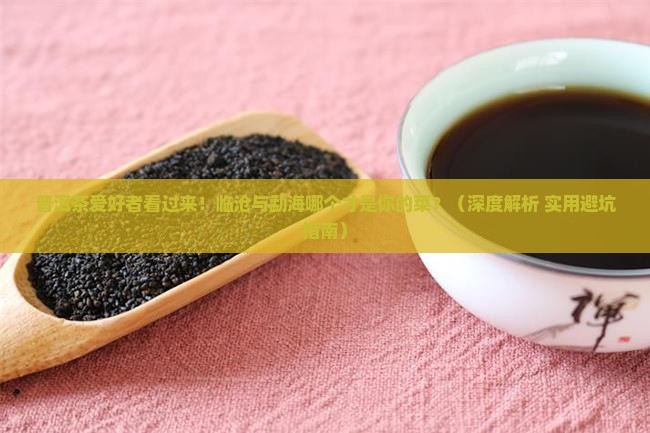普洱茶临沧和勐海