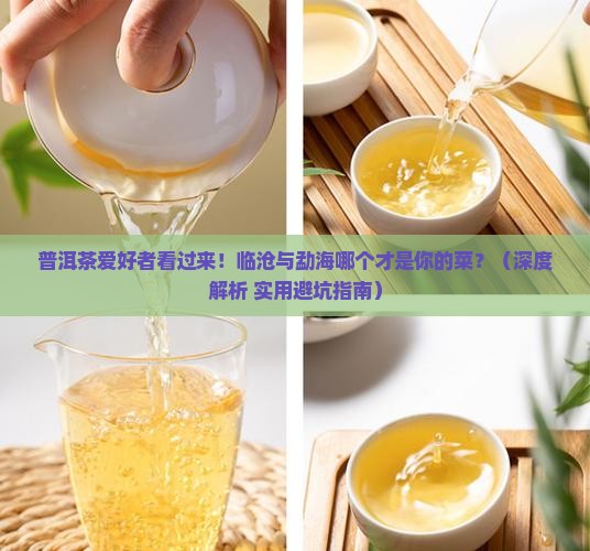 普洱茶临沧和勐海