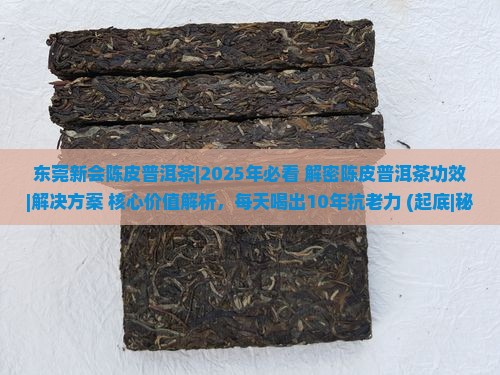 东莞新会陈皮普洱茶