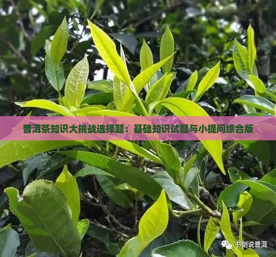 普洱茶知识大挑战选择题
