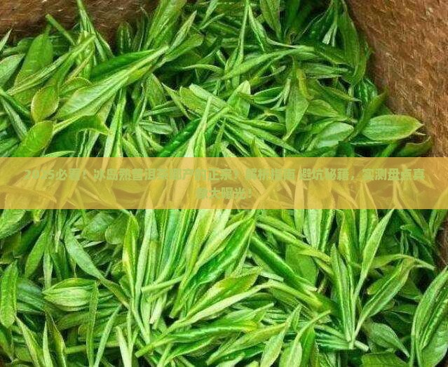 冰岛熟普洱茶哪产的正宗