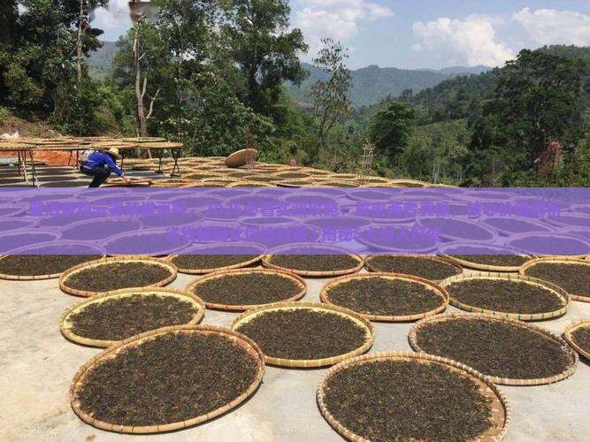普洱茶和云雾茶谁更好 普洱茶和云雾茶谁更好