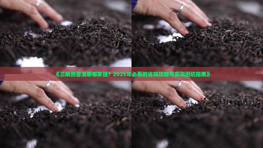 三明熟普洱茶哪家强