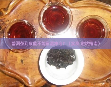 普洱茶常温冲泡可以吗多少度