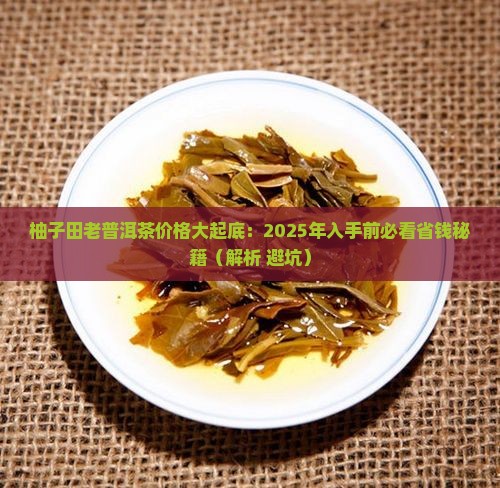 柚子田老普洱茶价格 柚子田老普洱茶价格
