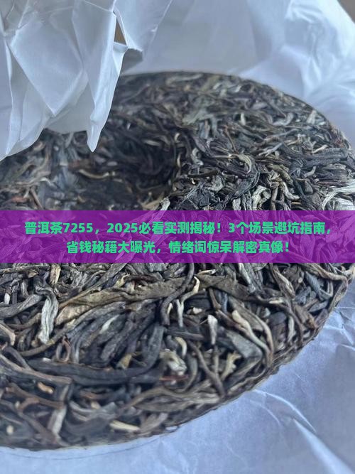 普洱茶7255 普洱茶7255