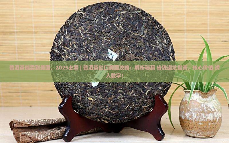 普洱茶能卖到美国