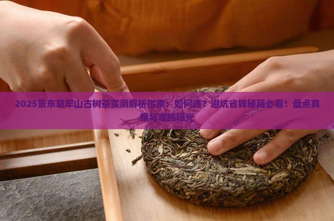景东哀牢山古树茶