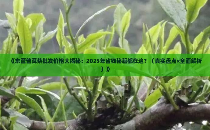 东营普洱茶批发价格表最新