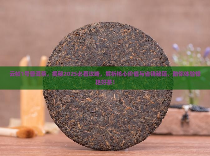 云帧1号普洱茶