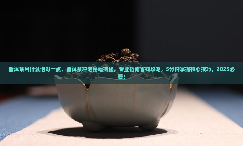 普洱茶用什么泡好一点