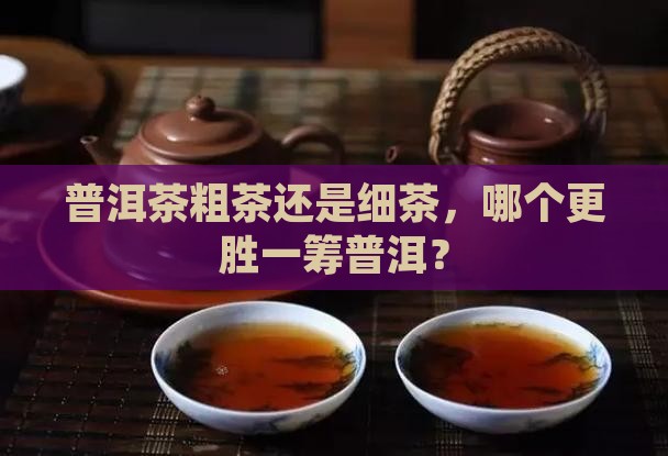 普洱茶粗茶和细茶