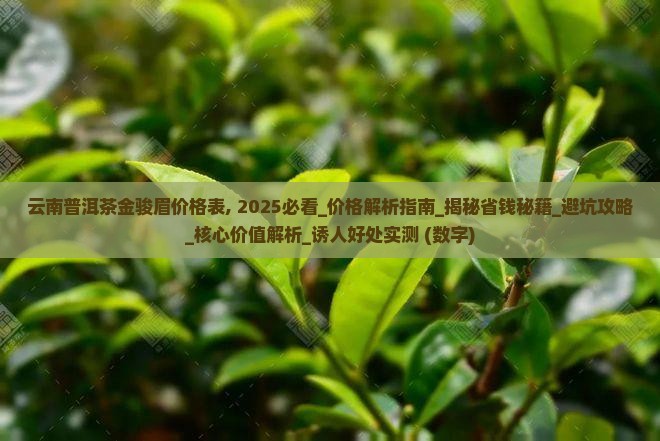 云南普洱茶金骏眉价格表