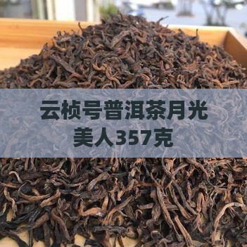 云桢号普洱茶月光美人
