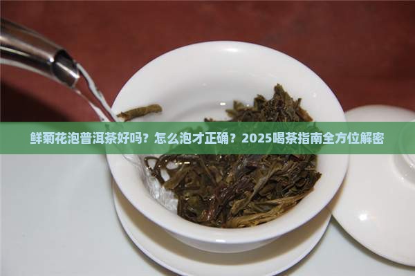 鲜菊花泡普洱茶好吗怎么泡
