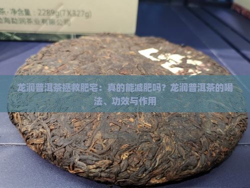 龙润普洱茶拯救肥