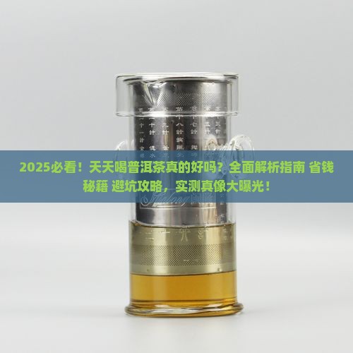天天上饮普洱茶怎么样