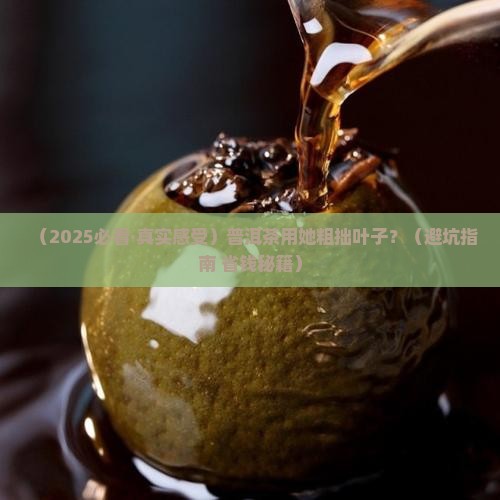 普洱茶用她粗拙叶子