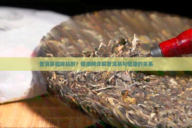 普洱茶能降肌酐