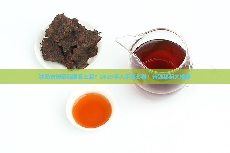 冰岛古树茶韩国