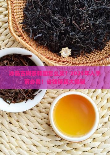 冰岛古树茶韩国
