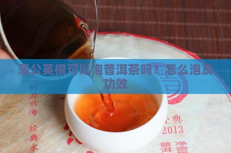 蒲公英根可以泡普洱茶吗