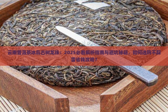 云南普洱茶冰岛古树龙珠 云南普洱茶冰岛古树龙珠