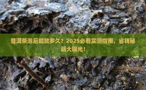 普洱茶泡过以后能放多久