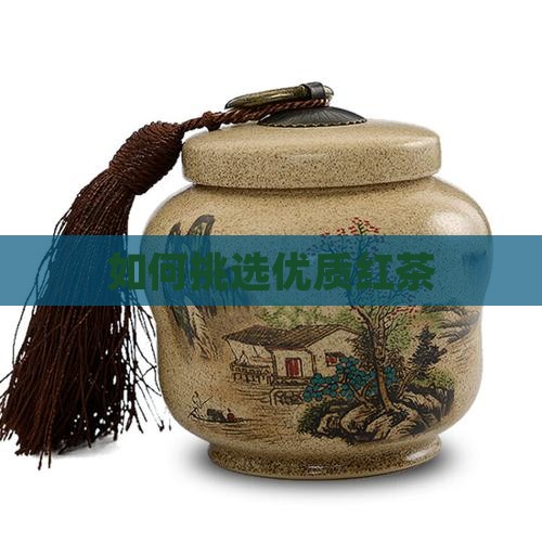 怎么选好的红茶