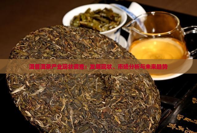 洱普洱茶产业现状调查