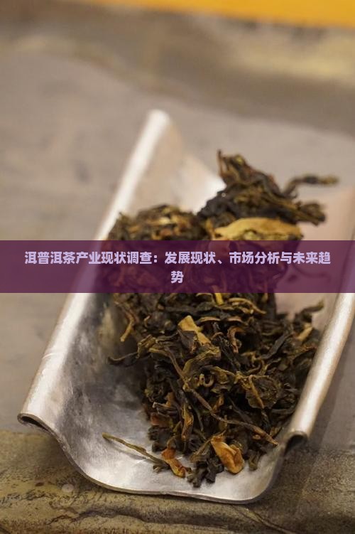 洱普洱茶产业现状调查
