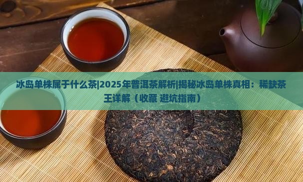冰岛单株属于什么茶