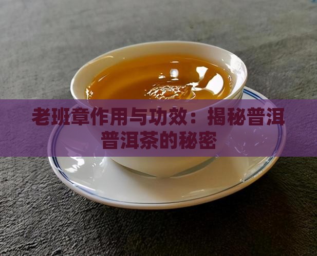 真正的老班章功能与作用