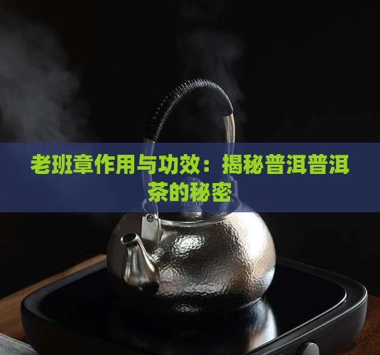 真正的老班章功能与作用