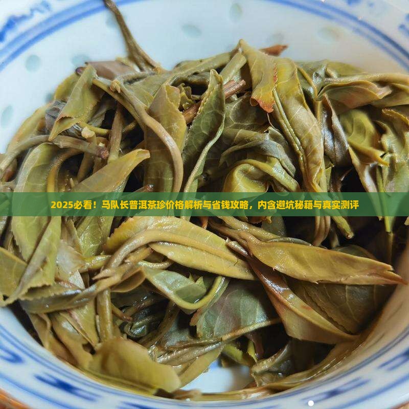 马队长普洱茶珍什么价格
