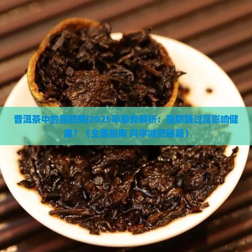 普洱茶中的脂肪酶