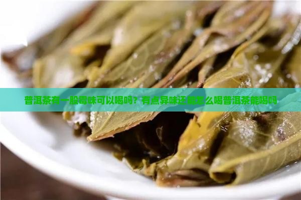 普洱茶有臭防可以喝吗